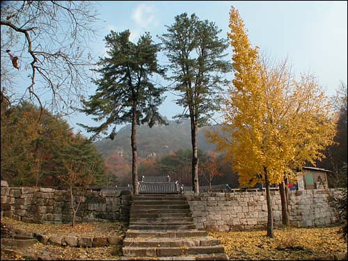 청평사 입구, 입구에 큰 수나무 두그루로 일주문을 대신하고 있다. 오봉산을 배경으로 얌전히 자리잡은 청평사가 멋있다. 